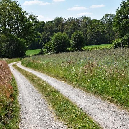 'T Buitenverblijf Erve Punte Losser Exterior foto